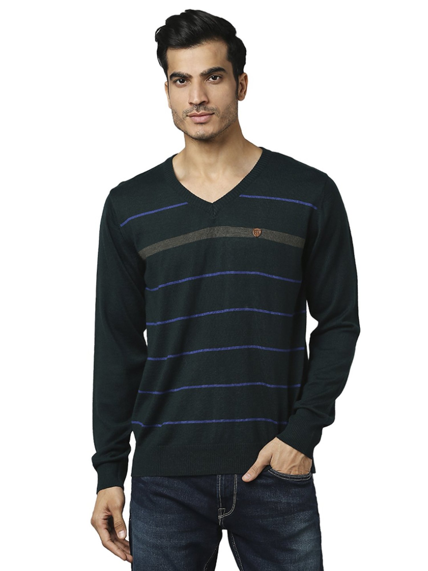 Raymond Green  Regular Fit Striped Sweaters