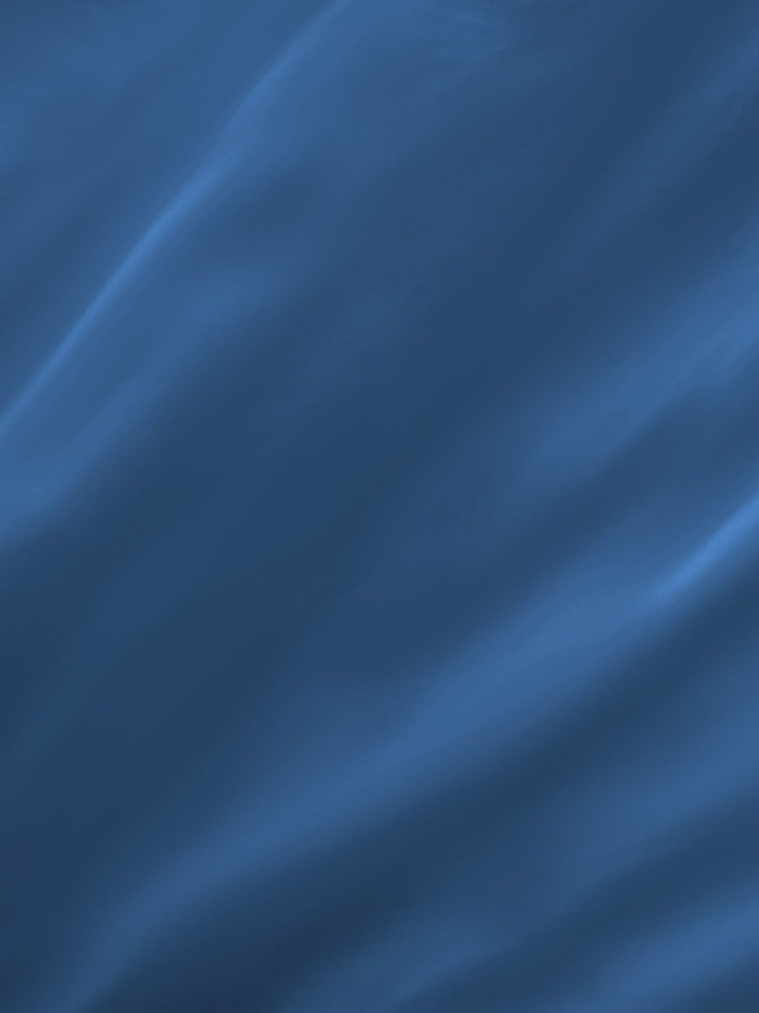 Boutique Living Kalpavriksha Printed Blue 300 TC Cotton King Bed Sheet with 2 Pillow Covers