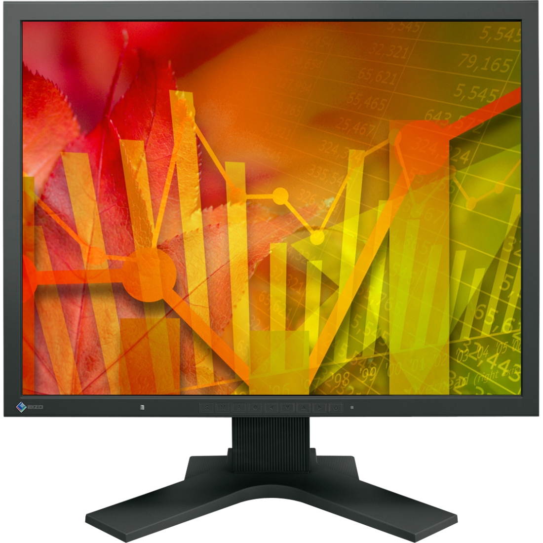 EIZO  S2133-BK  Black  21.3"  6ms  LED Backlight LCD Monitor IPSBuilt-in Speakers