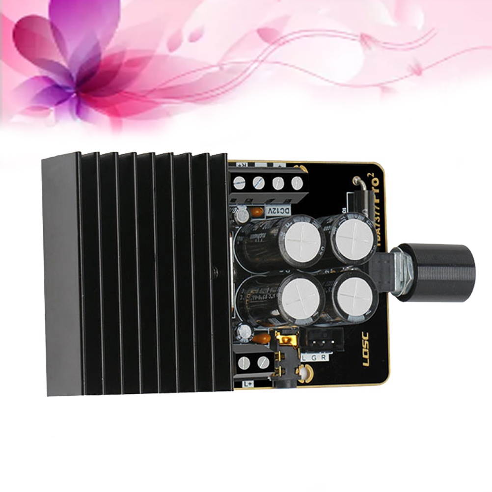 12V Dual Channel Stereo Power Amplifier Module Amplifier Board(Black)
