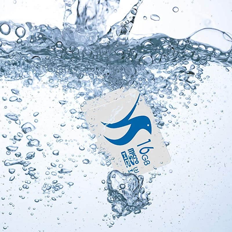 Micro SD Card 32GB 2-Pack High Speed Memory Card Class 10 UHS-3 with SD Adpter Full HD Video Nintendo Gopro Camera Canon Nikon DJI Drone(32GB U3 2 Pack)