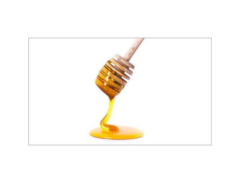 North American Pure Raw Unfiltered Honey - 12oz - Good & Gather™