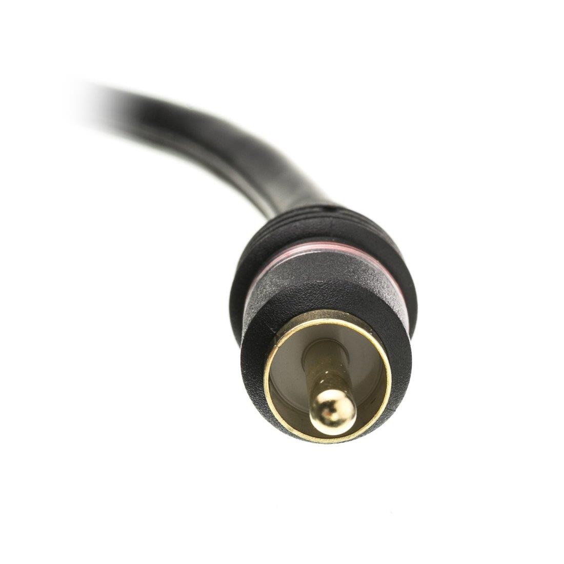 CableWholesale 6-Feet 2 RCA Male/2 RCA Male Audio Cable (10R2-02106)