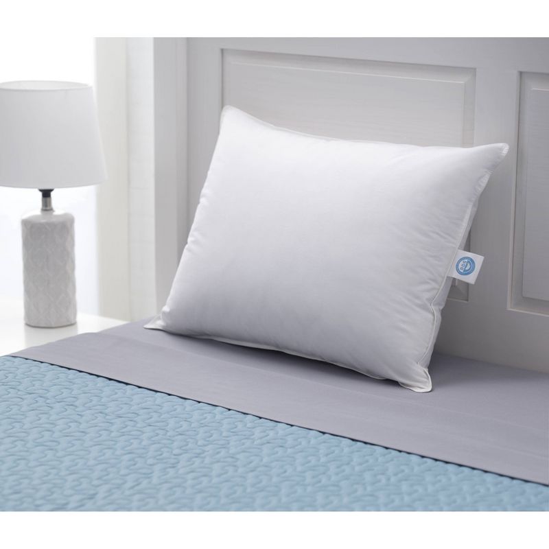 Standard 2pk Down Bed Pillow White - Allied Home