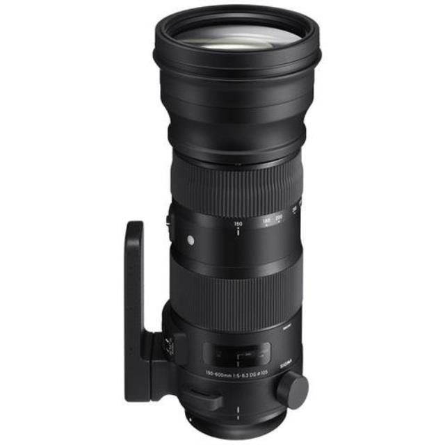 Sigma ZA954 150-600mm F5-6.3 DG HSM Sport Lens with 1.4X Tele-Converter Kit for Canon (Black)