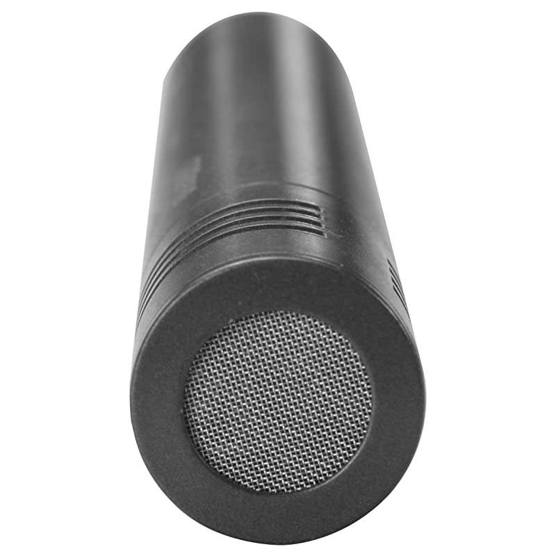 Professional Condenser Microphone (Condenser Mic)
