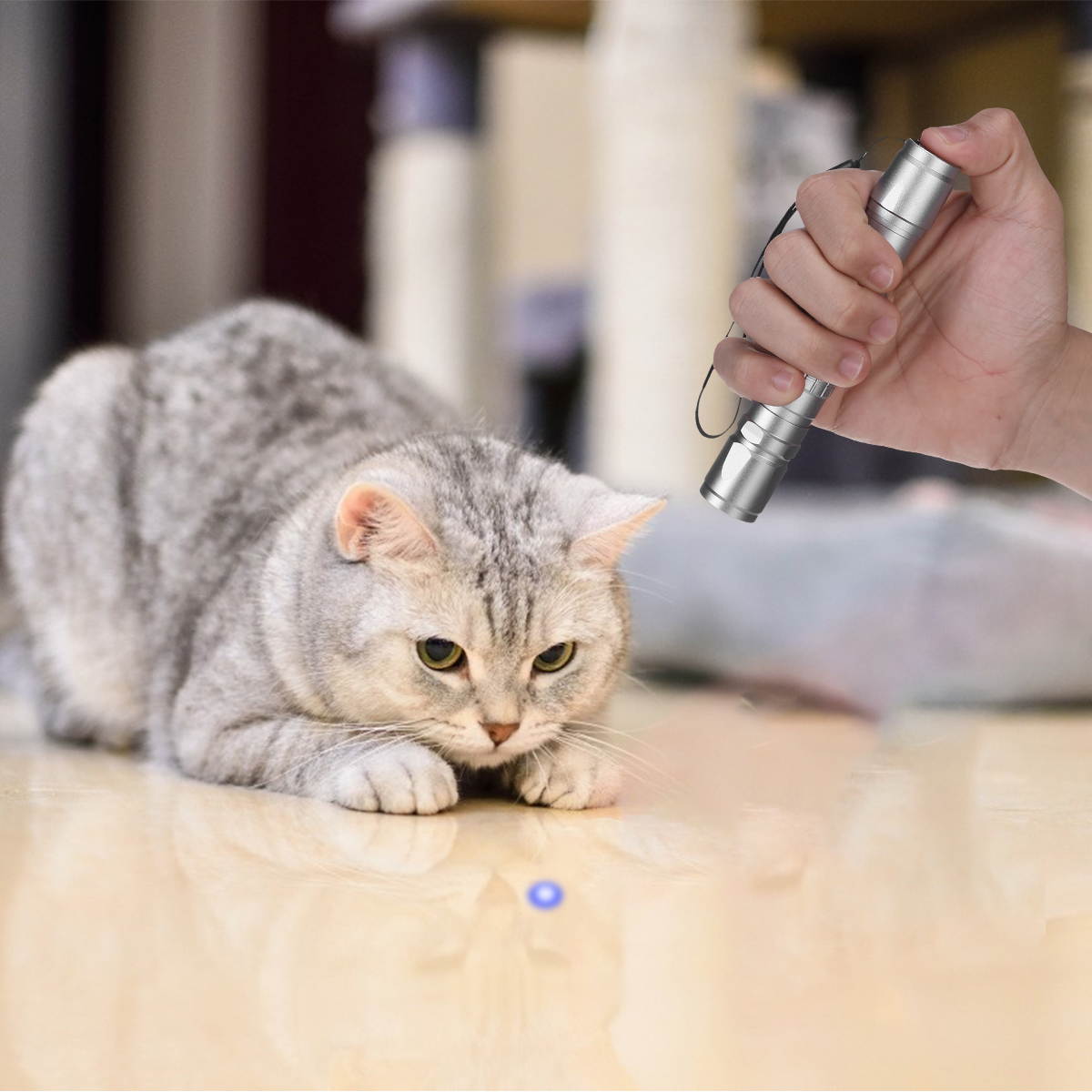 Purple Laser Pointer with Battery Charger Flashlight Visible Beam Light Outdoor Lighting Lasers Pen, Silver