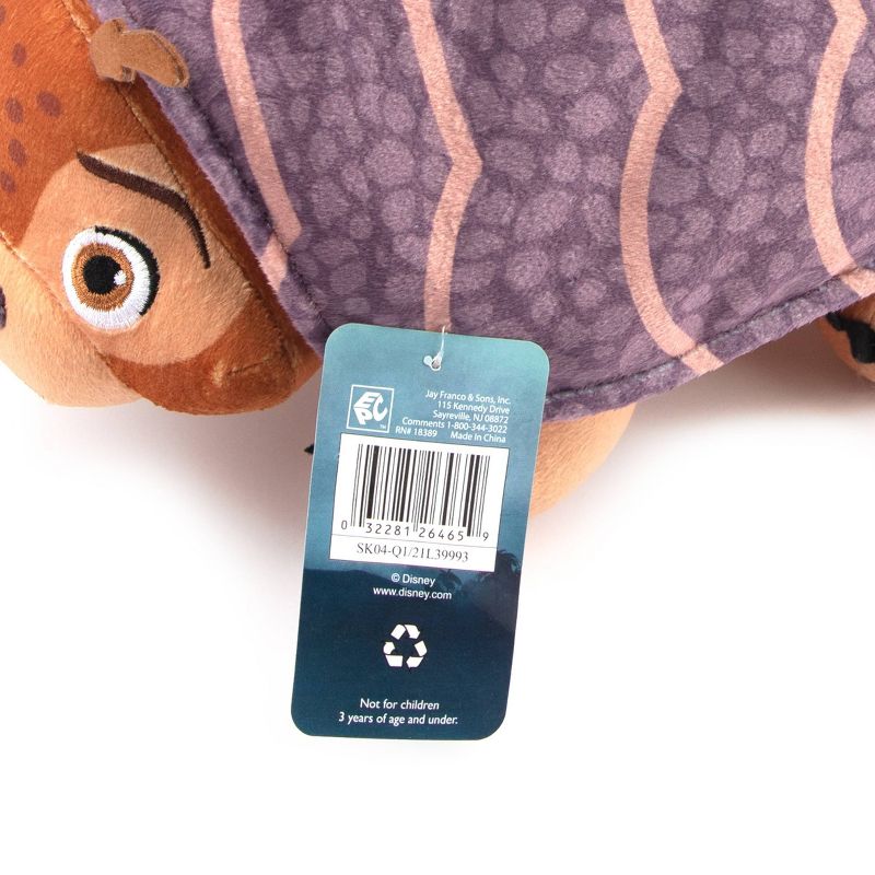 Raya and the Last Dragon Pillow