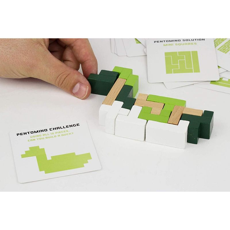 Professor Puzzle S.T.E.M. Mathematics Pentomino & Puzzle Cards Educational Games