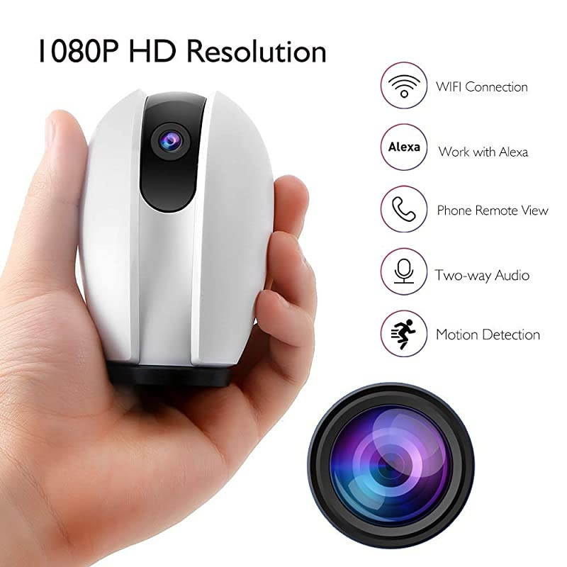 WiFi Camera Pet Camera, Home Security Camera Work with Alexa, Google Home and Fire TV, Indoor Surveillance Dog Camera, Baby Monitor, 2-Way Audio, Remote Access, Motion Detect, Cloud Storage