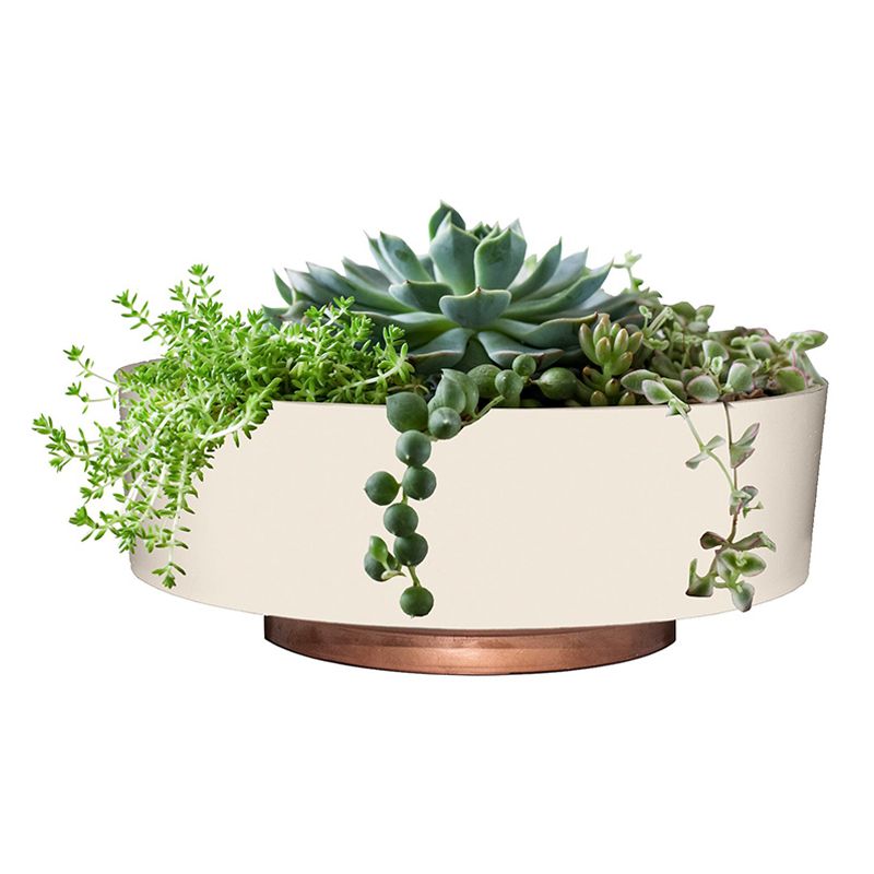 The HC Companies 8 Inch Round Plastic Capri Bowl Decorative Indoor Flower Succulent Planter Pot with Drain Plug Hole, Vanilla Bisque