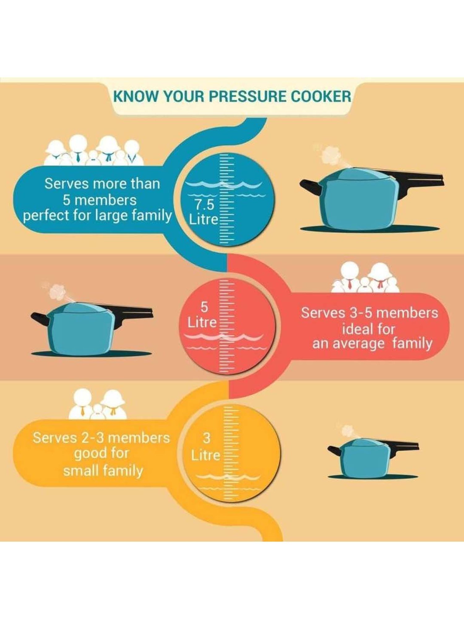 Pigeon Silver & Black Aluminium Pressure Cooker (6 L) - Set of 1