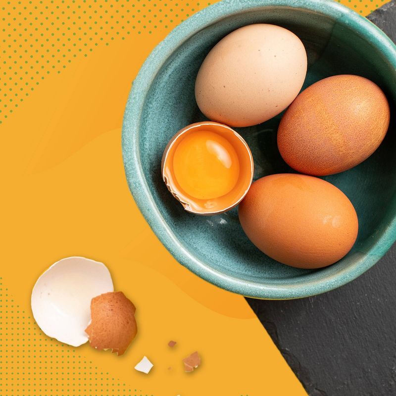 Oakdell Cage-Free Grade A Large Brown Eggs - 12ct