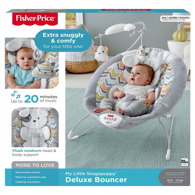 ​Fisher-Price Baby Bouncer
