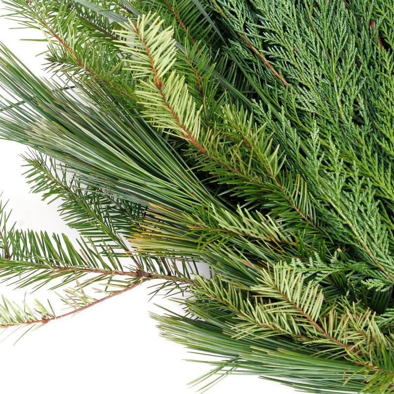 Live Fresh Cut Pacific Northwest Evergreen Mixed Holiday Arrangement Bouquet - Van Zyverden