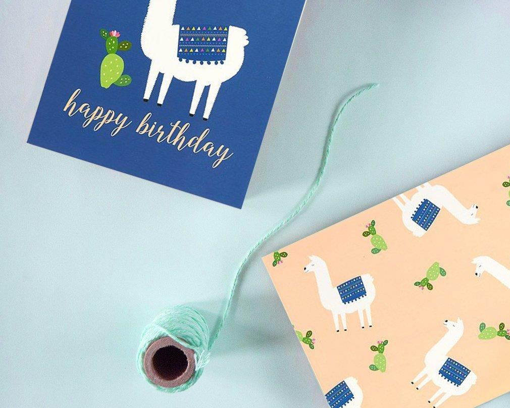 Birthday Card - 48-Pack Birthday Cards Box Set, 6 Cute Llama and Cacti Happy Birthday Cards Bulk, Envelopes Included, 4 x 6 Inches
