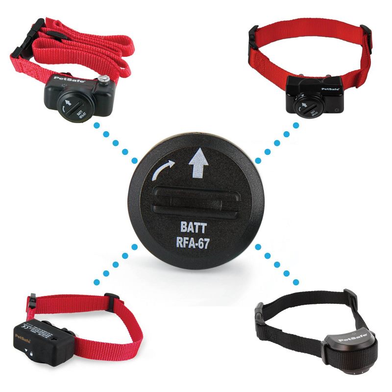 PetSafe 6 Volt Battery - 2pk - Black