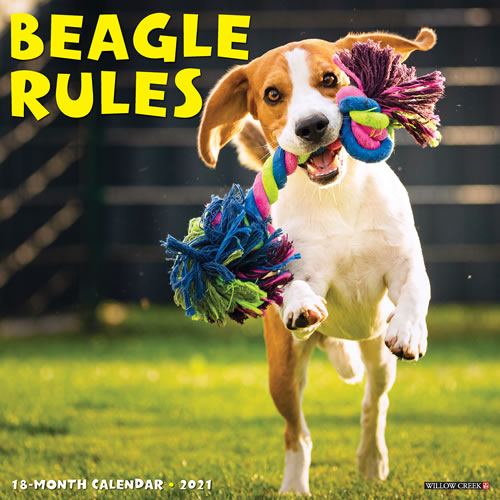 2021 Beagle Rules Wall