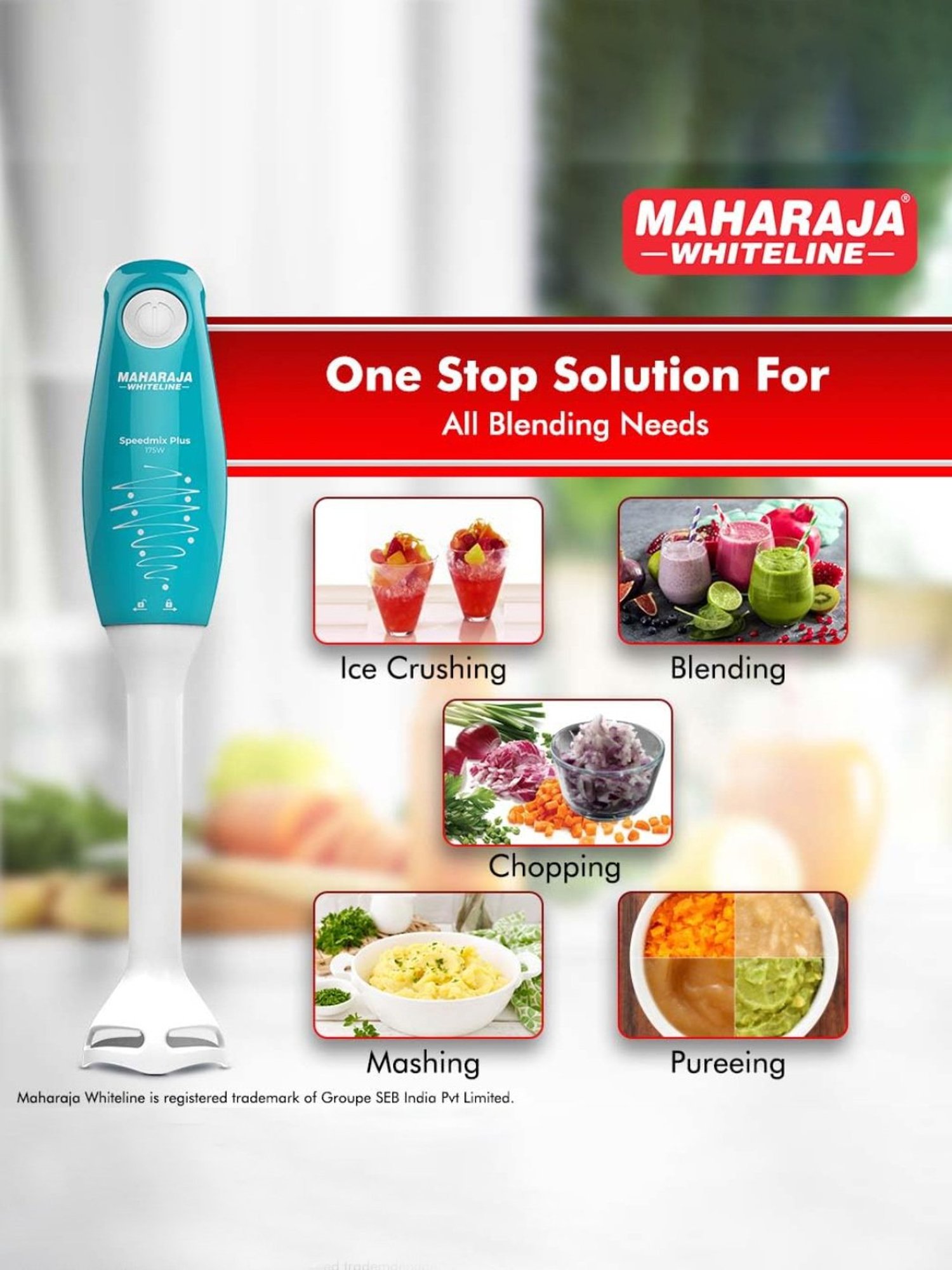 Inalsa 1200W Hand Blender