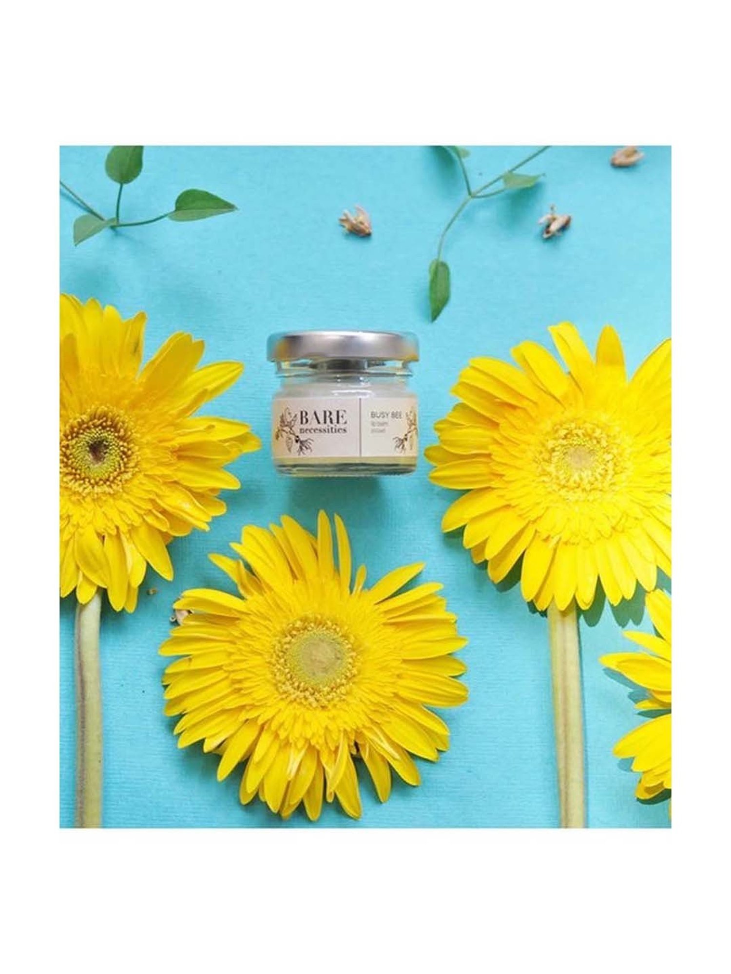 Earthraga Spiced Chai Organic Lip Balm - 4 gm