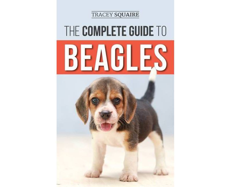 The Complete Guide to Beagles - by  Tracey Squaire (Hardcover)