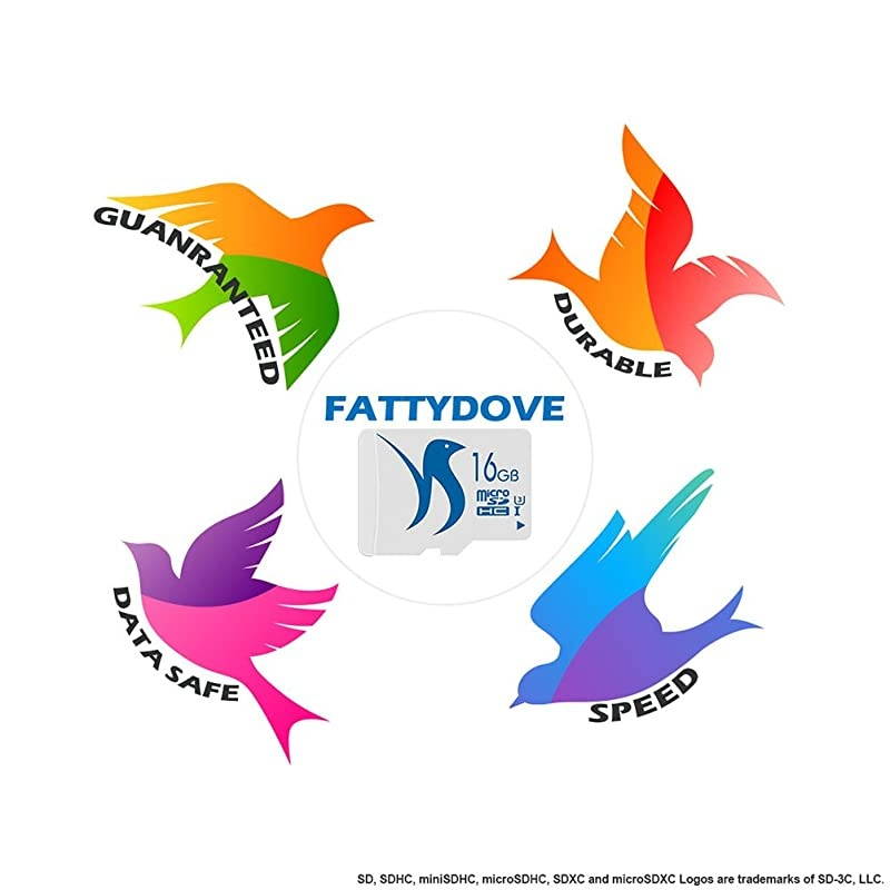 Micro SD Card 32GB 2-Pack High Speed Memory Card Class 10 UHS-3 with SD Adpter Full HD Video Nintendo Gopro Camera Canon Nikon DJI Drone(32GB U3 2 Pack)