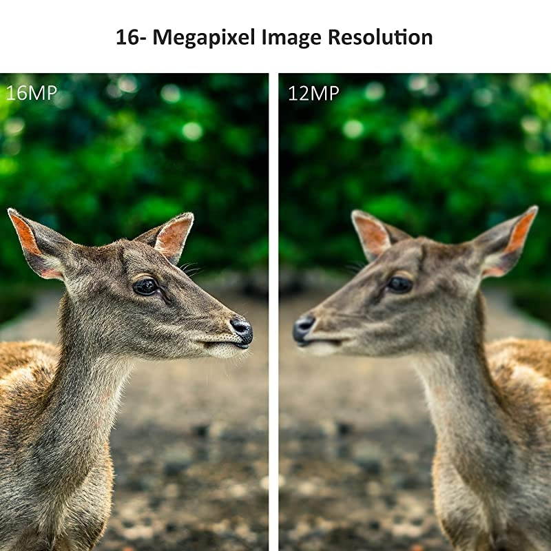 Trail Game Camera 16MP 1080p 30fps FHD Waterproof IP67 Wildlife Scouting Hunting Cam with 940nm 48Pcs No Glow IR LEDs Motion Activated Night Vision 24quot LCD