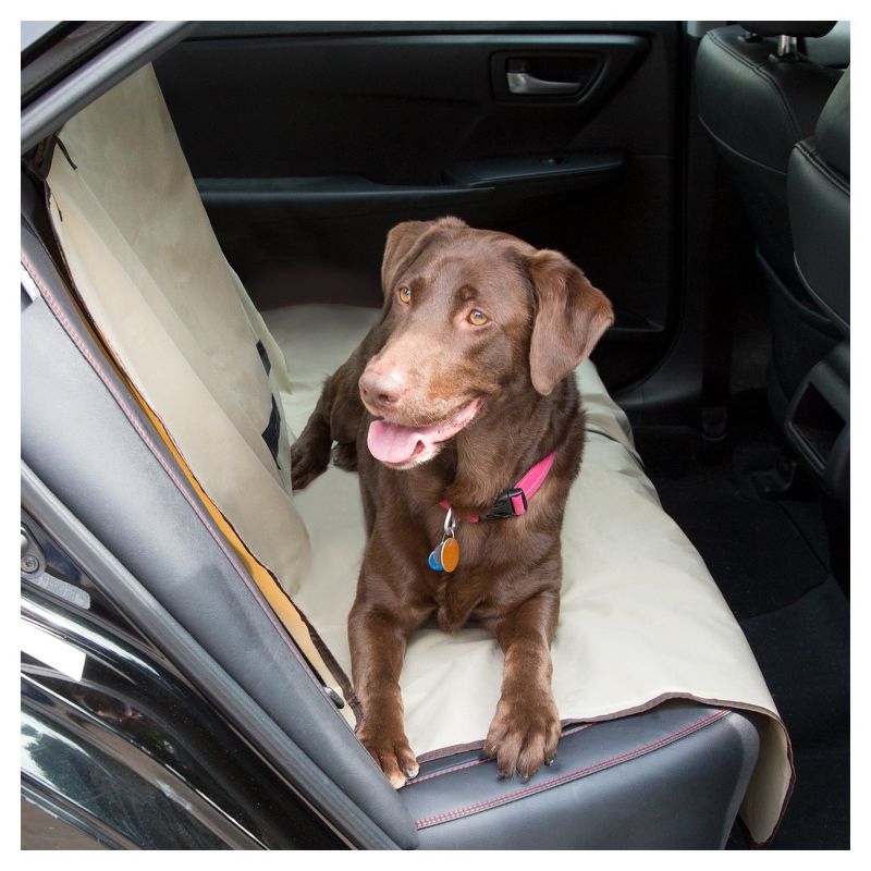 dbest products Pet Smart Cart Carrier Crate Kennel Cage Bag with Wheels and Padded Bed for Airline Airplane Travel with Cats and Dogs, Large (Black)