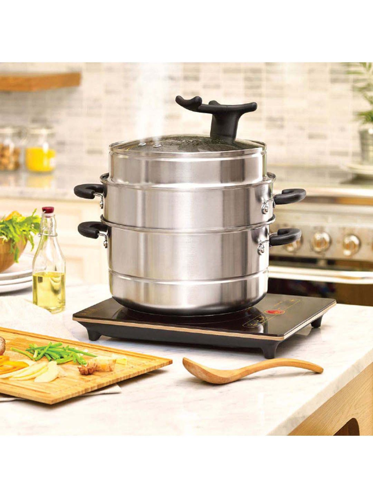 Butterfly Silver Stainless Steel Standard Idli Maker With Friendly Cooker