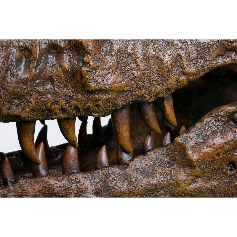 Master Replicas T-Rex Skull Half Scale Smithsonian Fossil Replica - 28 Inches