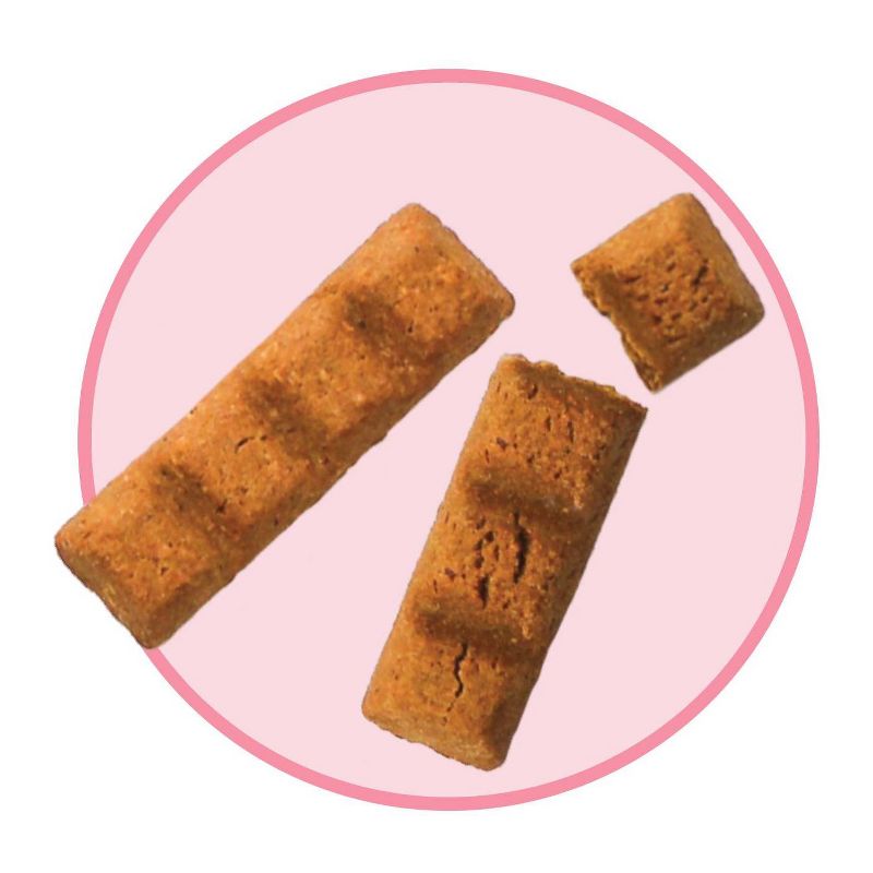 Cookie Pal Human Grade Organic Turmeric and Ginger Dog Treats - 10oz