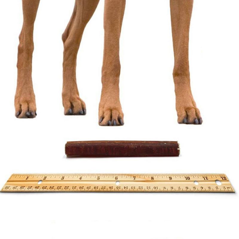 Nature Gnaws Bully Sticks 6" Beef Dog Treats - 1lb