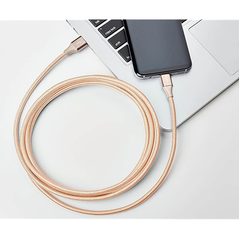 Basics 10 foot Nylon USB-C to USB-A 2.0 Fast Charging Cable, Gold