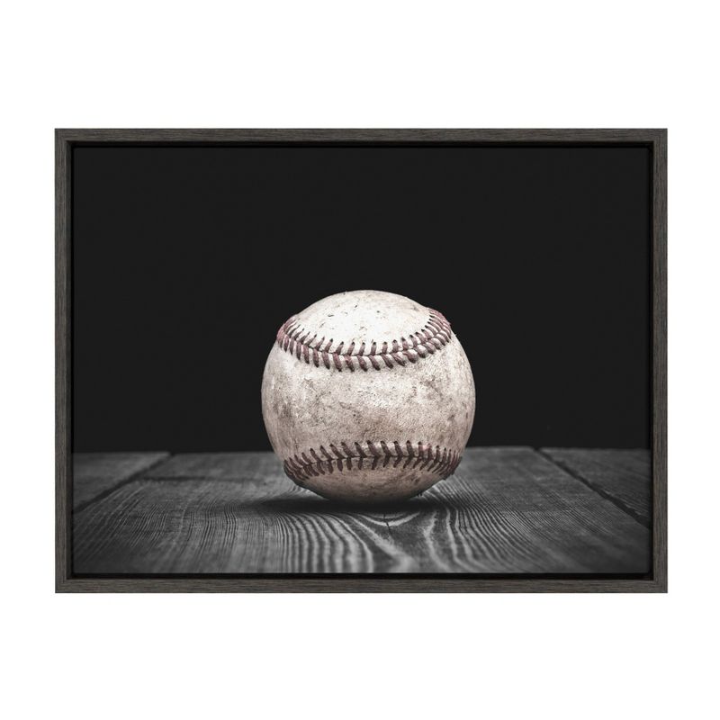 18" x 24" Sylvie Baseball Framed Canvas by Shawn St. Peter Gray - DesignOvation