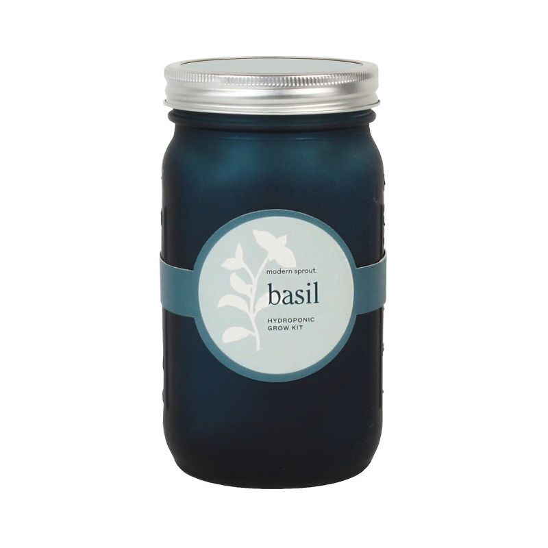 Modern Sprout Glass Jar Grow Set - Basil + Parsley