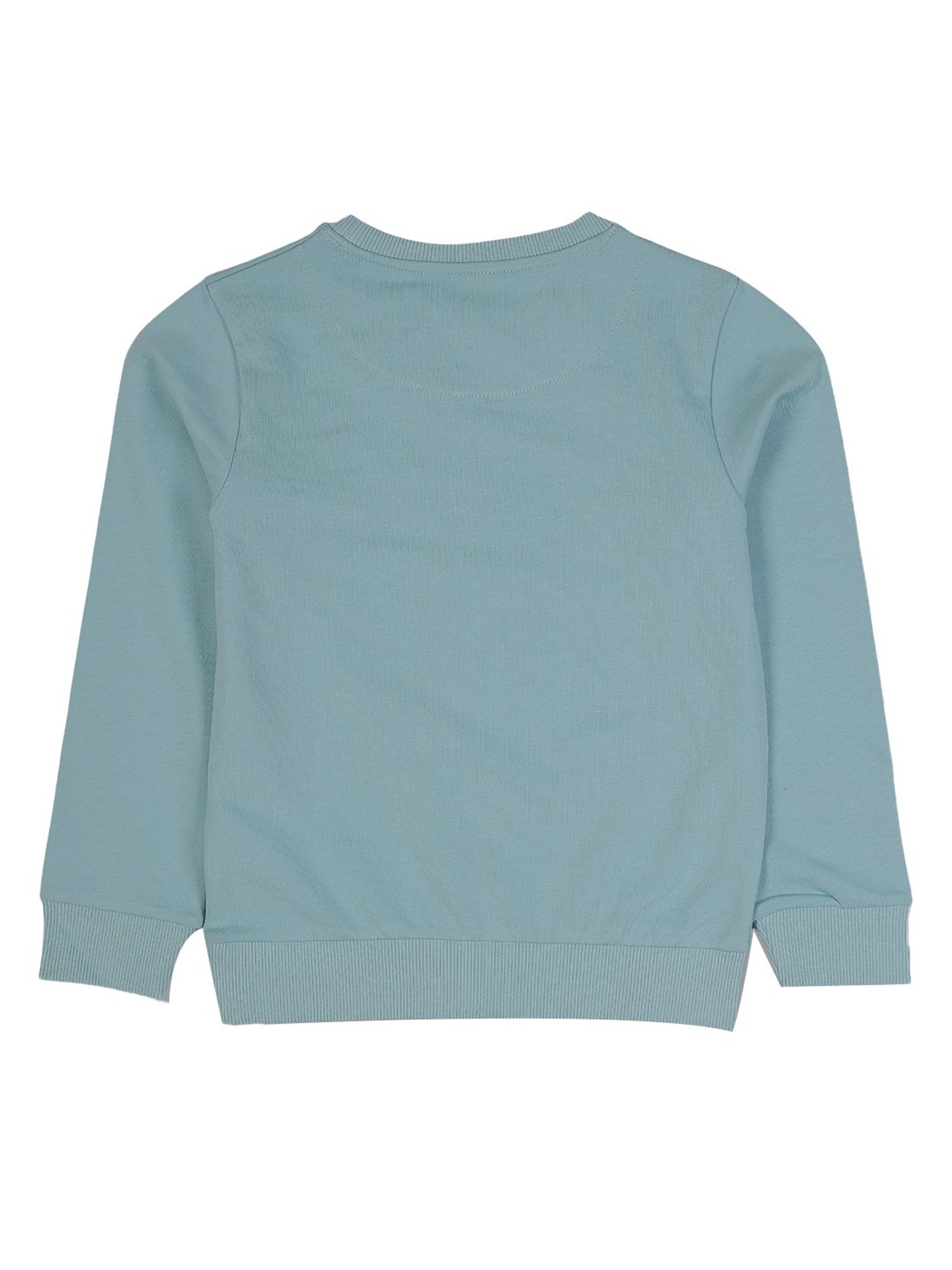 Plum Tree Kids Aqua Embellished Sweatshirt