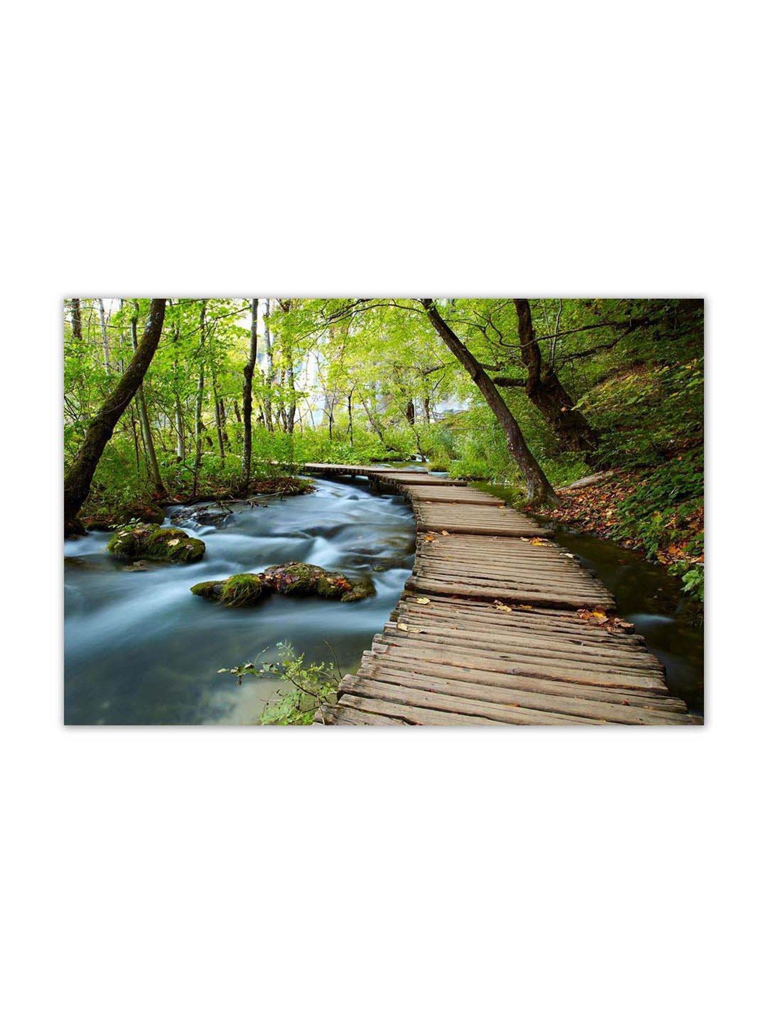 999store Green & Brown Boardwalk In The Park Canvas Painting