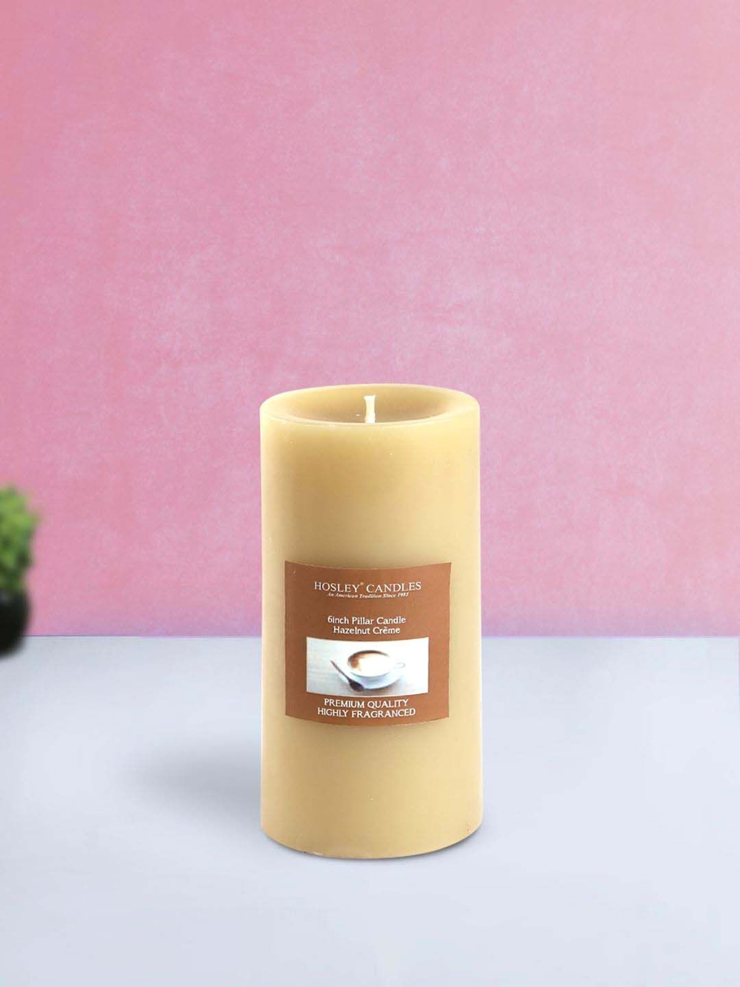 HOSLEY Beige Wax Pillar Candle - Set of 3