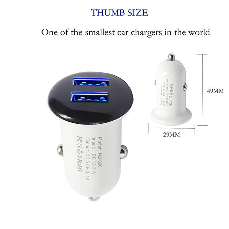 Charger, 2 Pack Dual USB Port 3.1A+3.1A Charger Adapter, Flush Fit Adapter with Blue LED, Fast Charging, USB Charger Compatible with iPhone XR/Xs/Max,iPad Pro,Galaxy,HTC, etc