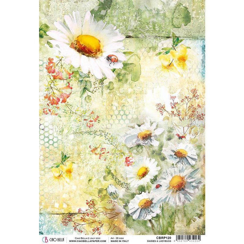 Ciao Bella Rice Paper Sheet A4 5/Pkg-Daisies & Ladybugs, Microcosmos