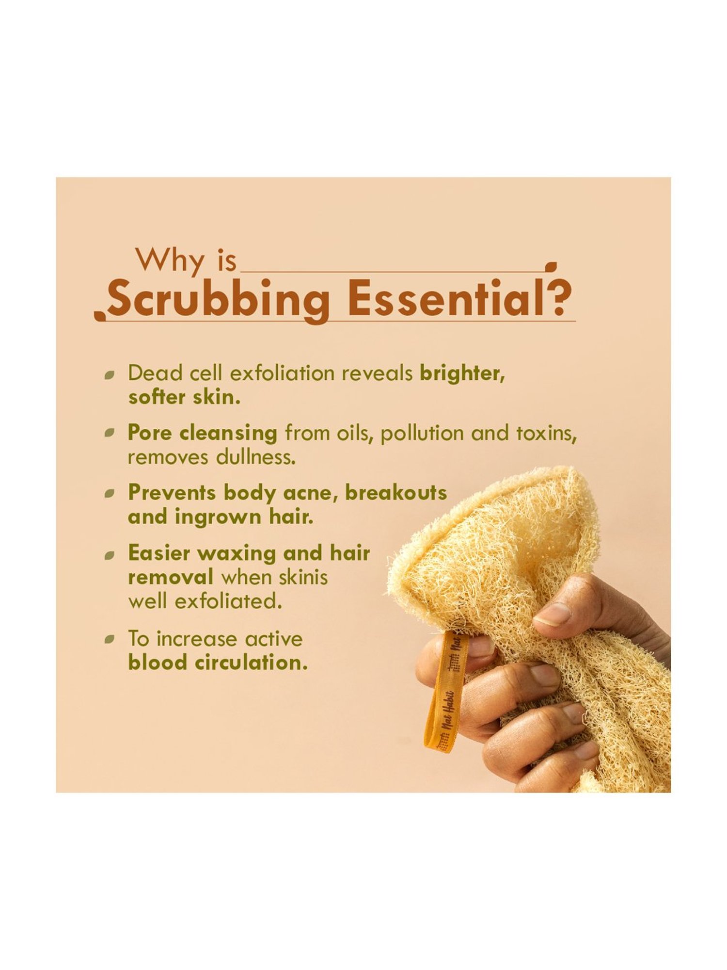 Shae Ginger Detox Body Wrap - 75 gm