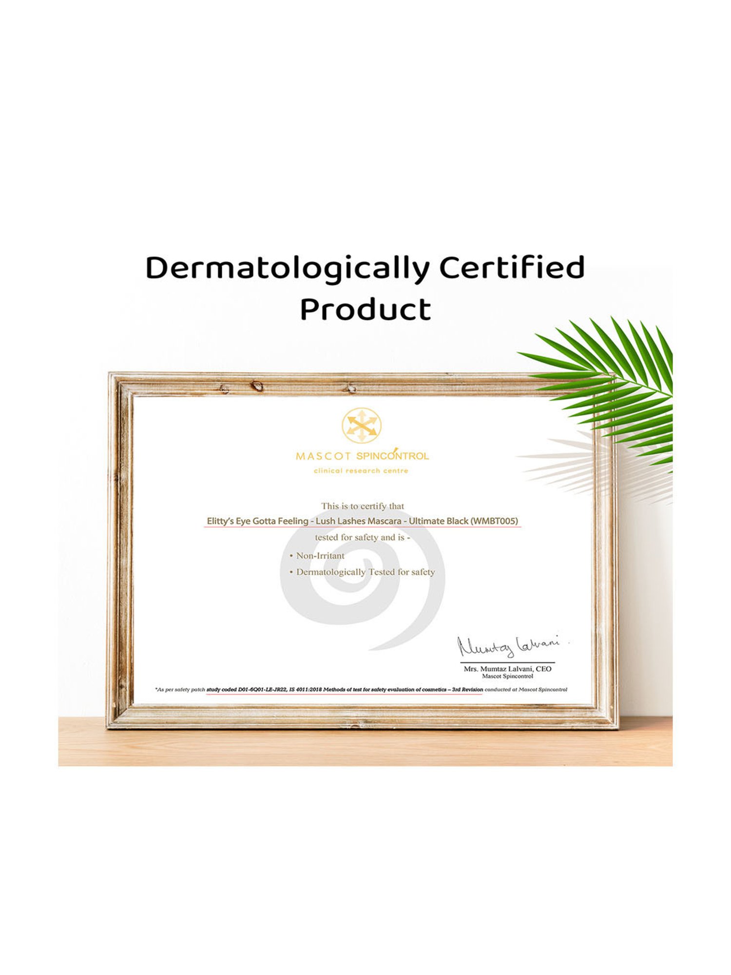 Elitty Lush Lashes Mascara Ultimate Black - 7 gm