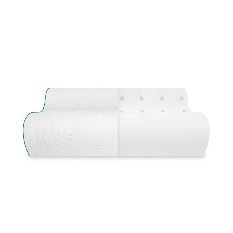 BioPEDIC Fresh and Clean Classic Contour Memory Foam Pillow with Antimicrobial Ultra-Fresh Treated Fabric