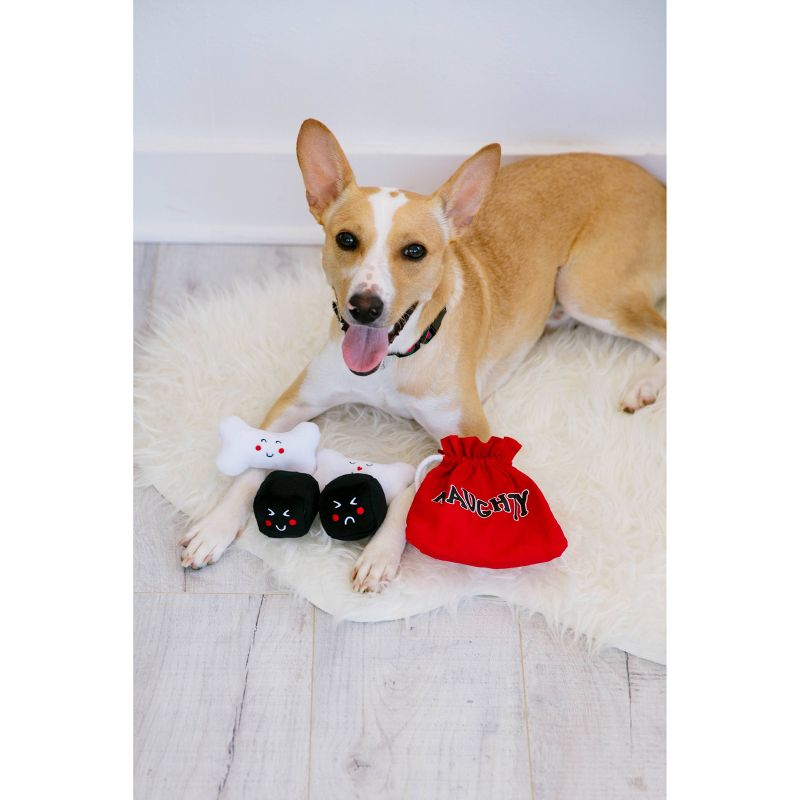 Pearhead Feliz Naughty and Nice Reversible Bag and Dog Toy Set
