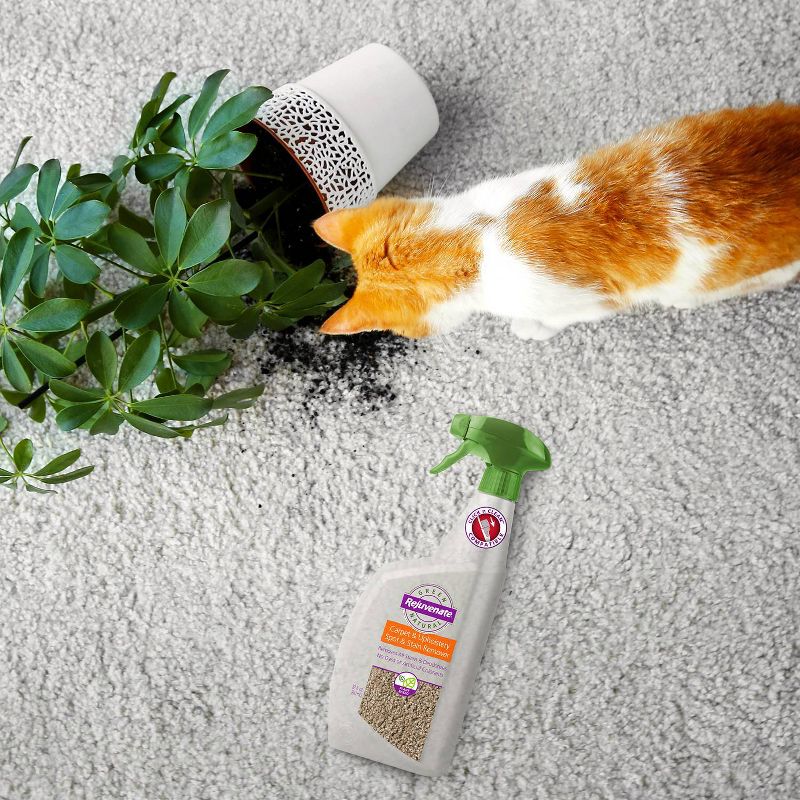 Rejuvenate Naturals Carpet and Upholstery Spot and Stain Remover 32oz