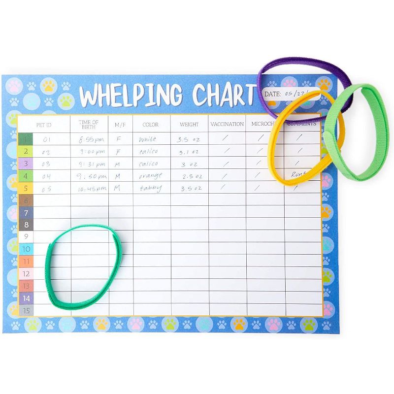 Okuna Outpost 20 Pack Puppies Whelping Collars and ID Charts, 15 Colors (13.8 x 0.4 in)