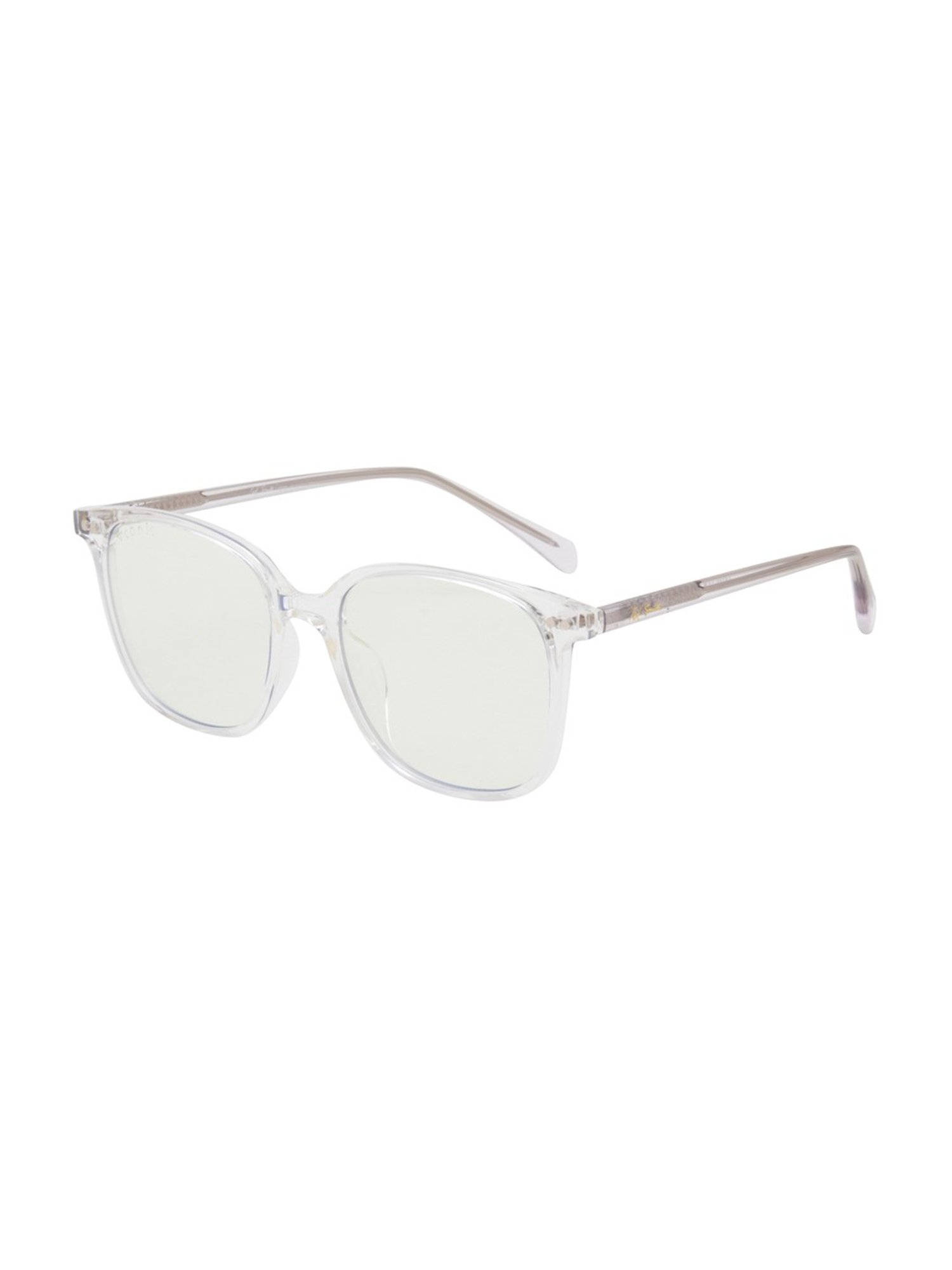 Ted Smith Transparent Wayfarer Polarized Unisex Sunglasses