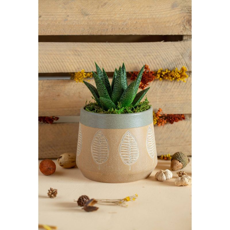 LiveTrends Leaf Native