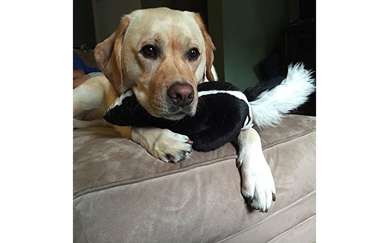 Fluff & Tuff Lucy the Skunk, Large Plush Dog Toy with Squeaker