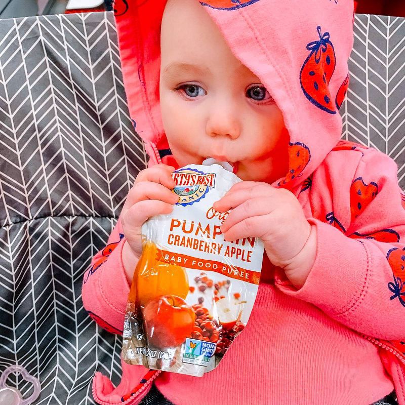 Earth's Best Organic Pumpkin Cranberry Apple Baby Food Pouch - 4.2oz